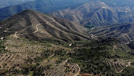 Kütahya’da ormanlara giriş yasağı
