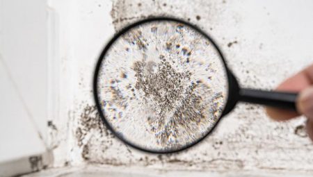 Meskendeki küf bombası her an patlayabilir! Uzun vadede sıhhat problemlerine neden oluyor