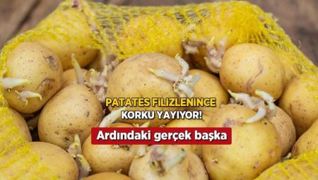 Patates filizlendi diye çöpe gitmesin! Kabuğu ele veriyor, tüketme kaidesi bakın neymiş