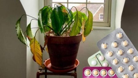 Solmuş çiçekleri bir bir canlandırıyor! Ezip suya katmak kâfi, böylesi yok