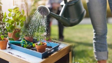 Toprağı kurutmadan tasarruf sağlıyor! Bahçeyi bu türlü sulayan yaşadı: Tepsiyi doldurun