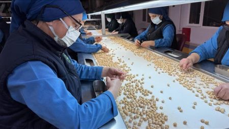 Türkiye, fındık ihracatından 1,9 milyar doları aşkın gelir sağladı