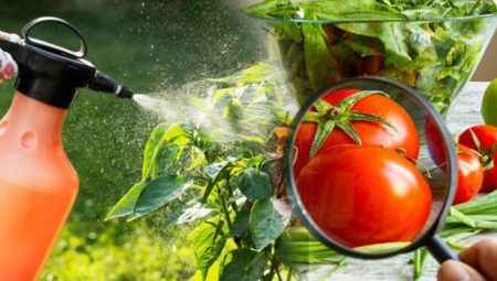 Uzun müddet dayanması zehrin işareti! Beyaz katman kalıyor: Kaygan ve parlaksa bırakın