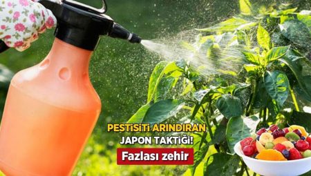 Zerzevat meyvedeki pestisiti yok eden Japon taktiği! Konuttaki 2 gereç yetiyor