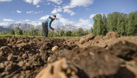 Çiftçilere 3,3 milyar lira dayanak ödemesi bugün yapılacak