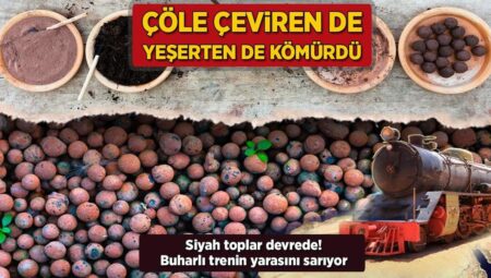 Çöle çeviren de yeşerten de kömür! Siyah toplar devrede: Buharlı trenin yarasını sarıyor