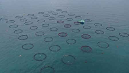 Doğu Karadeniz’in 4 aylık su eserleri ihracatı 47,8 milyon doları aştı