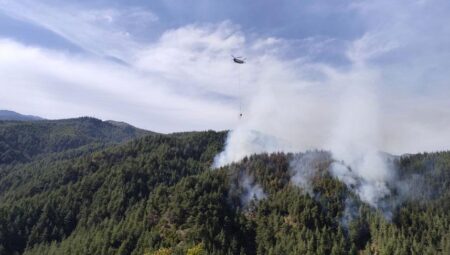 Kahramanmaraş’ta orman yangını! Takımlar harekete geçti