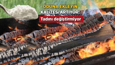 Mangal odununa serpin, köz saatlerce sönmüyor! Dumanı ve kokuyu azaltan taktik