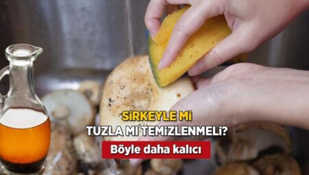 Mantar sirkeyle mi, tuzla mı temizlenir? Lezzeti kaybetmeyin, 2-3 dakika kâfi