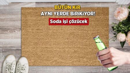 Paspaslar kiri meskenin her yerine yayıyor! Derin paklık kuralmış, kola ve soda işi bitiriyor