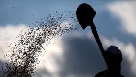 Tohum dalında AR-GE faaliyetlerine takviyelerin yerliliği artırması bekleniyor