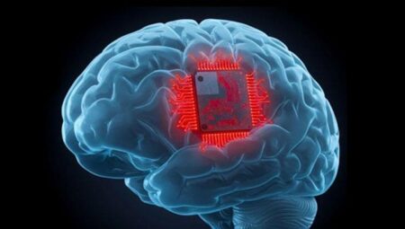 Valve’ın Neuralink rakibi bu yıl birinci beyin çipini piyasaya sürecek