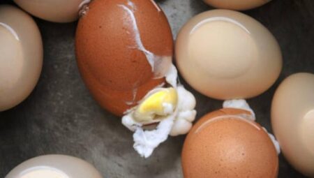 Yumurtalar haşlarken patlamasın! 1 çay kaşığı ekleyin, kabuk bile çatlamıyor