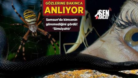 Büyük bir şans! 6 gün evvel Samsun’da herkesin göremediğini gördü: ‘Simsiyahtı’