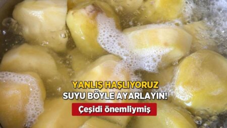 Patatesi daima yanlış haşladık! Kaynar su kuralmış, lezzet tavan yapıyor