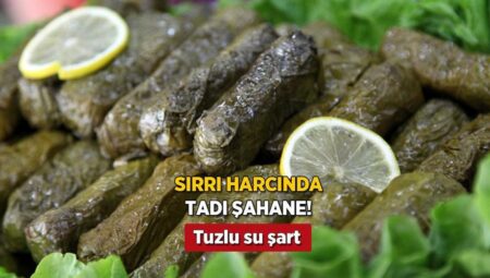 Sarmanın sırrı harcında saklı! Herkes tanım soracak, tuzlu suda bekletince lezzet tavan